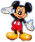 Mickey Fanatic