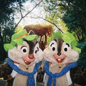Chip and Dale!