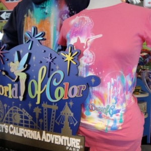 world of color merchandise womens tee
