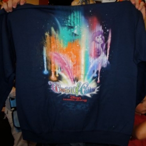 world of color merchandise hoodie back