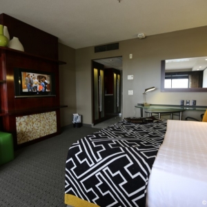 Contemporary-Resort-Room-019