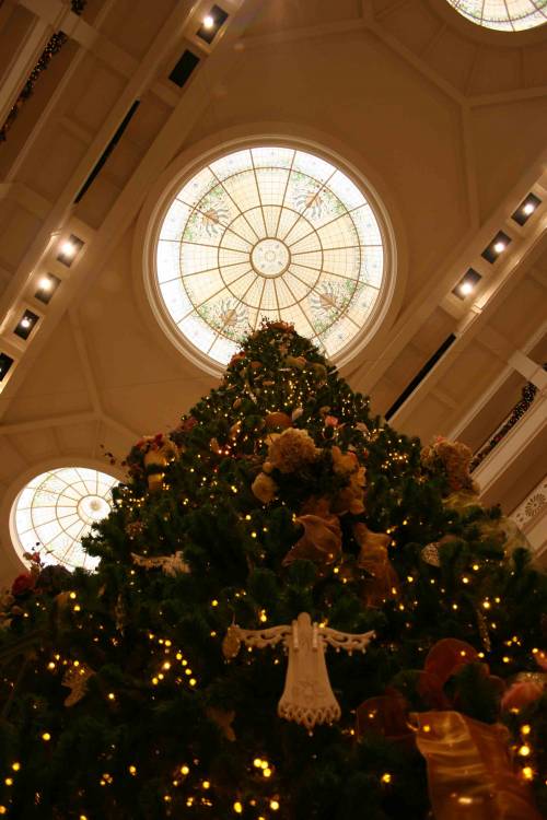 A Grand Christmas Tree