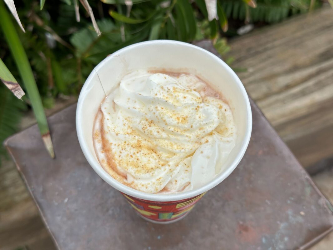 Graham cracker dust and whipped cream on s'mores hot cocoa'mores hot cocoa