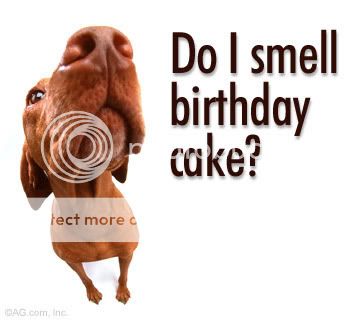 Do-I-Smell-Birthday-Cake.jpg