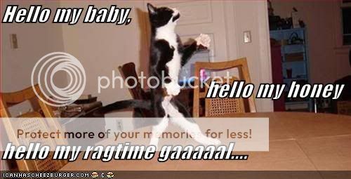 funny-pictures-dancing-wb-cat.jpg