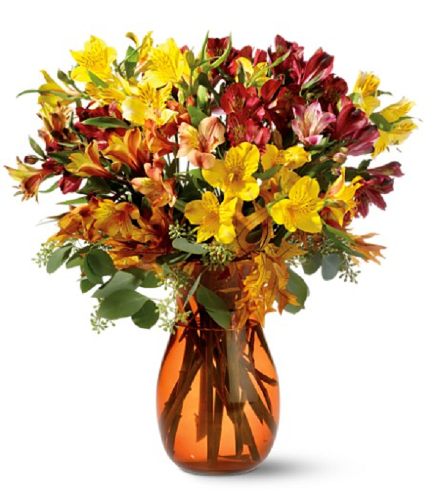 50_blooms_of_alstroemeria.png