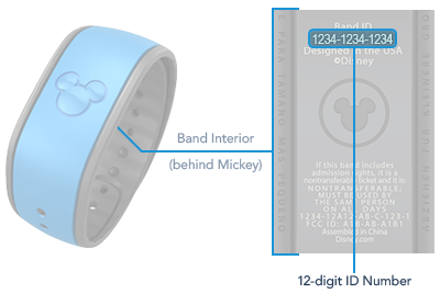 Find the 12 digit ID number on the inner surface near the center of the MagicBand.