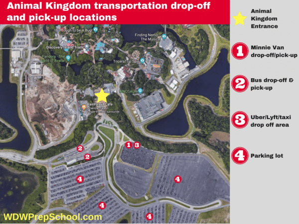 Animal-Kingdom-transportation-location-600x450.png